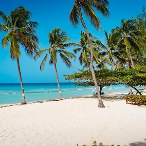 coconut-court-beach-hotel.comcaribbean.com/